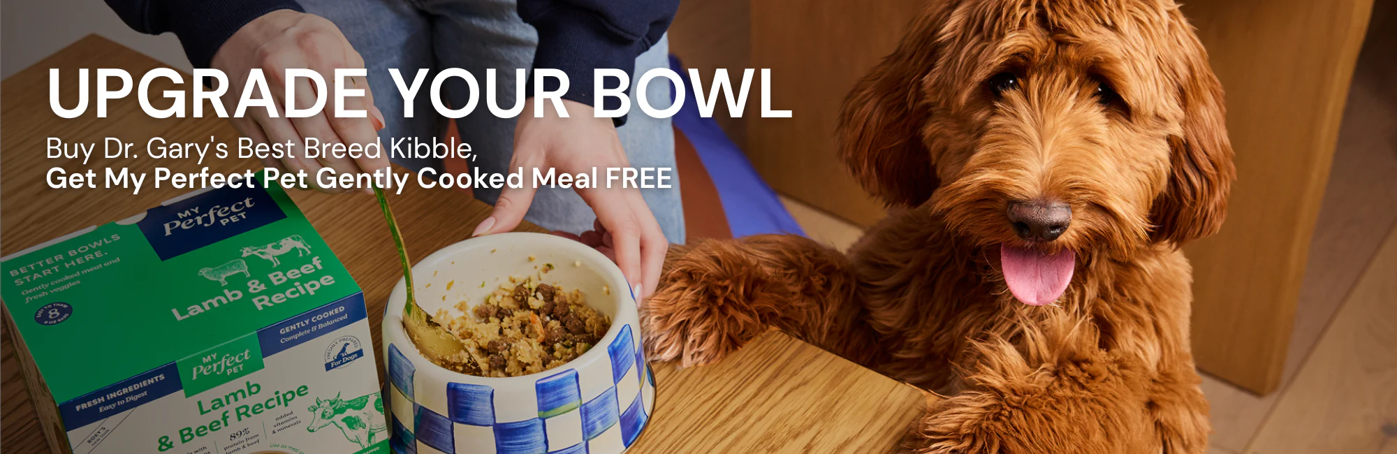 Natural Care for Happy Paws